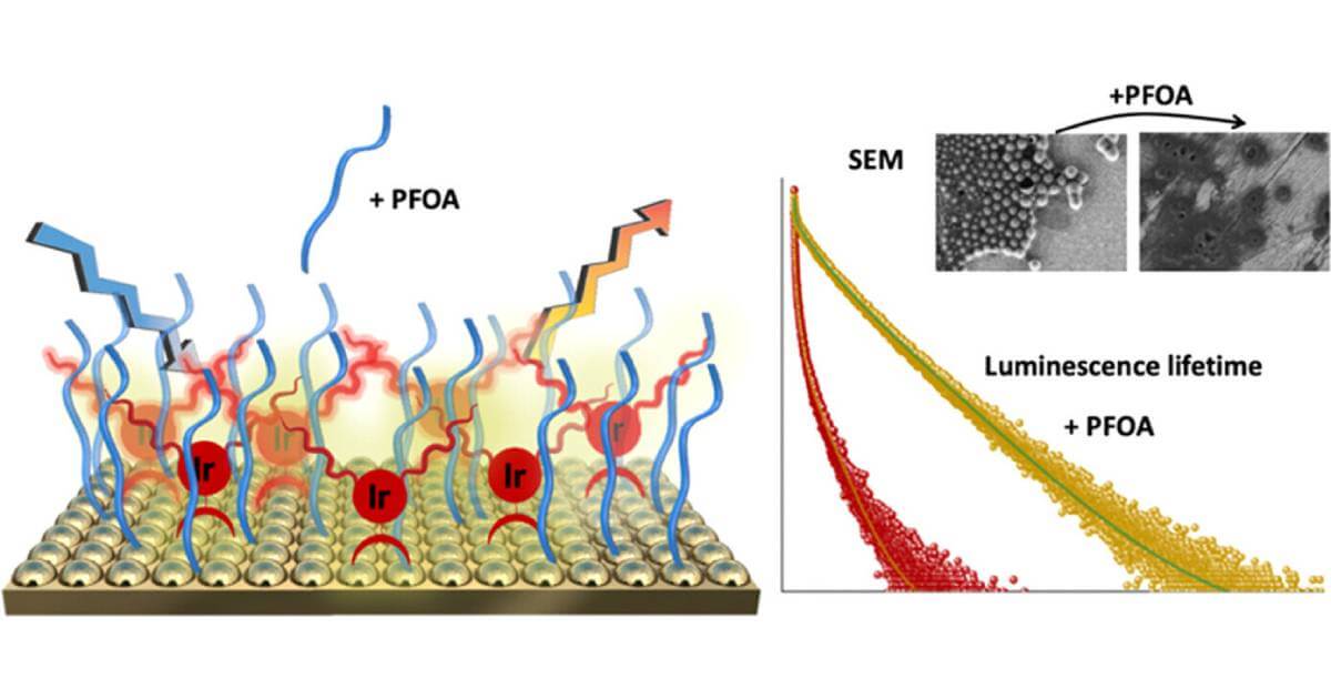 Detecting Forever Chemicals: New Luminescent Sensor Insights